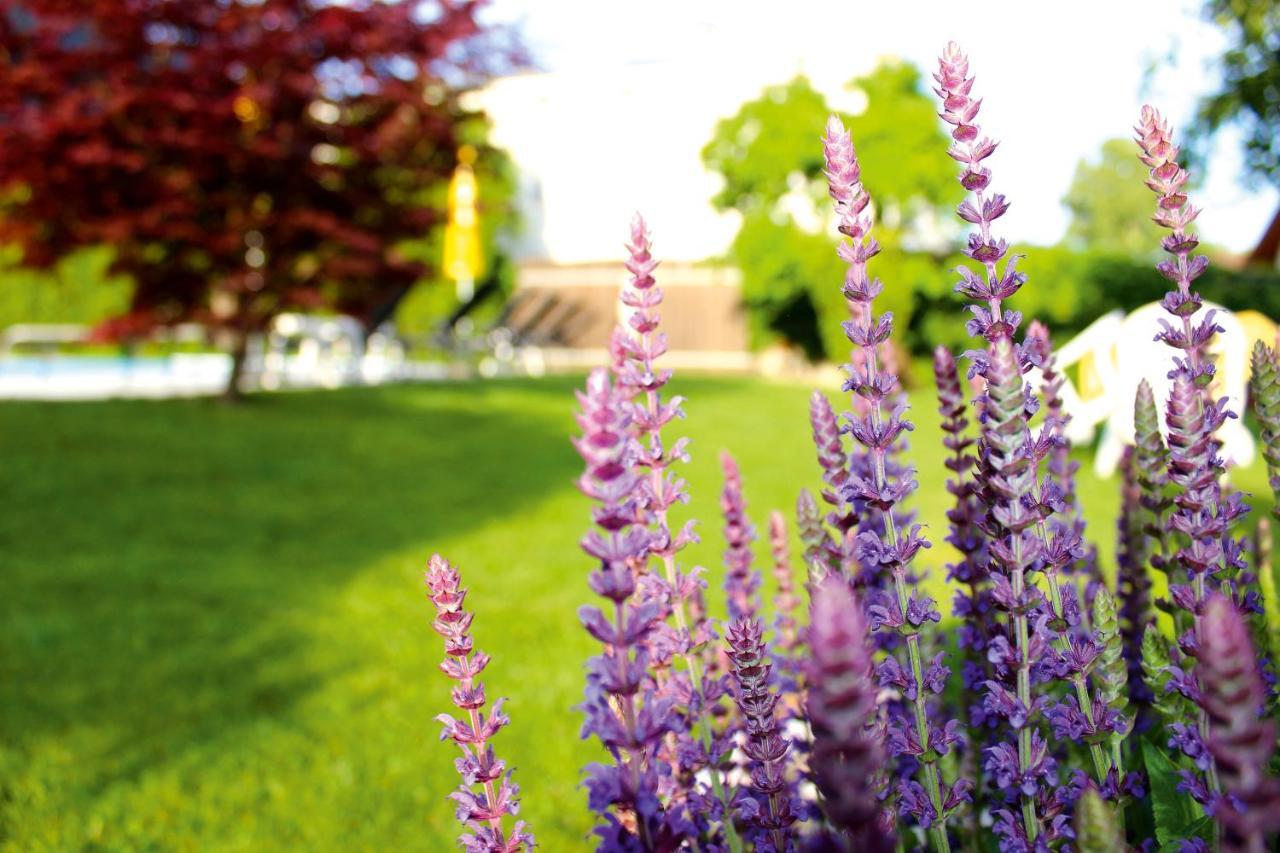 Pension Sattlerenglhof Laces Esterno foto